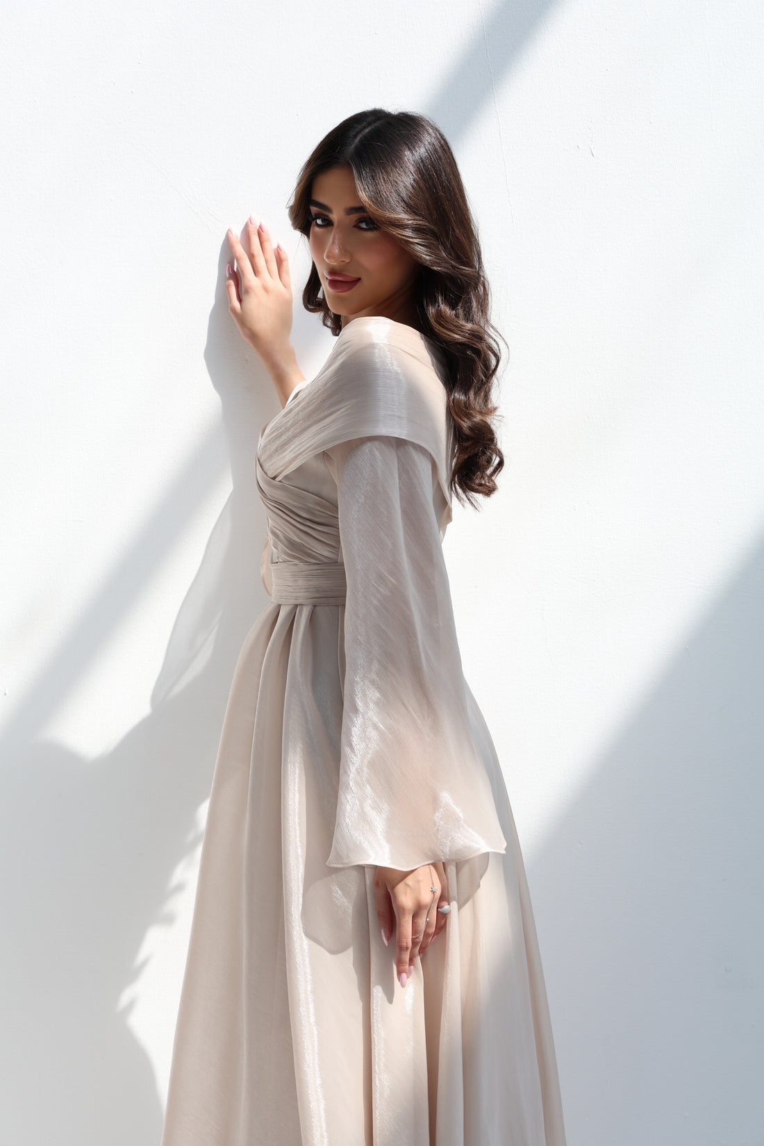 Elegant Beige Organza Dress